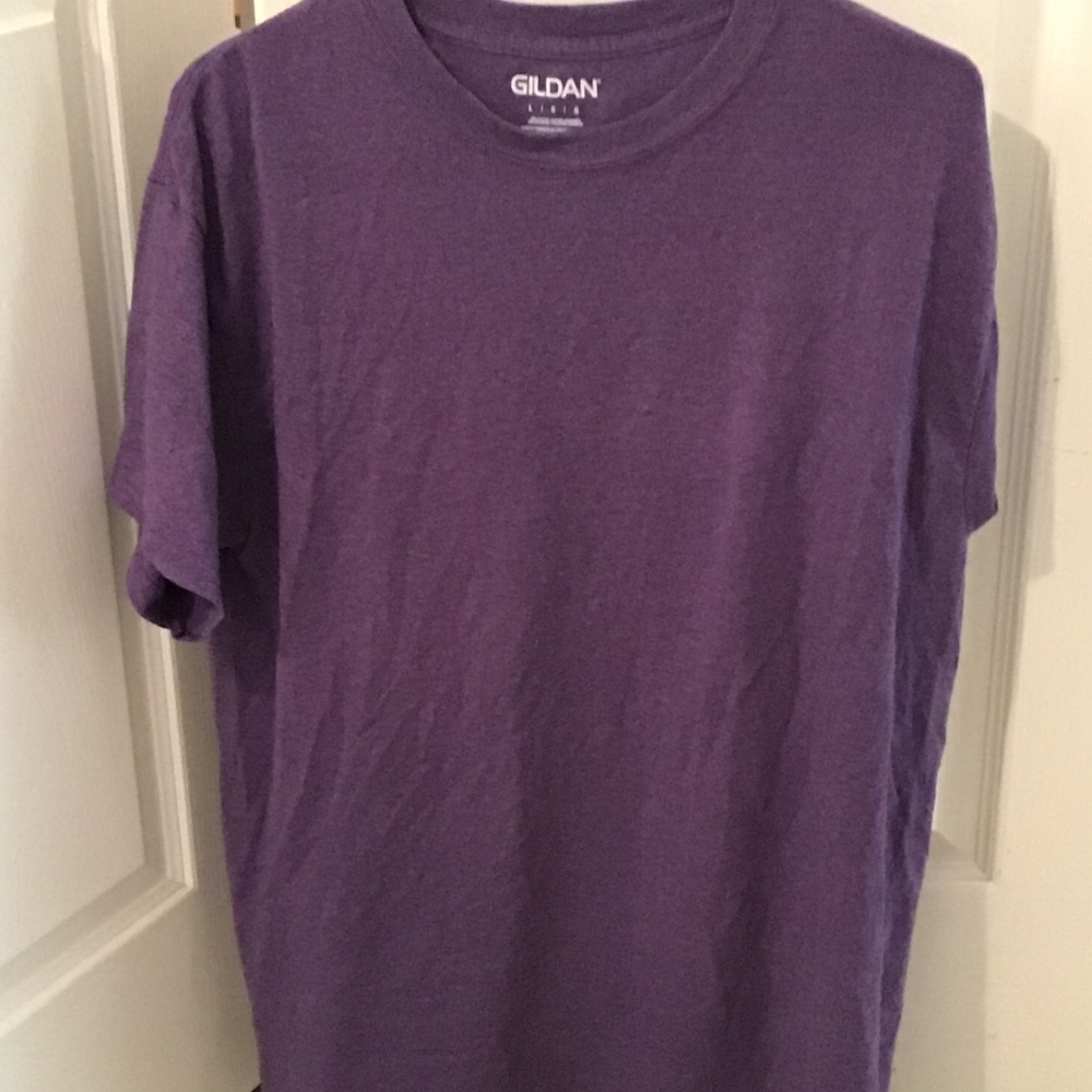 5/$25 Gildan  lg shirt